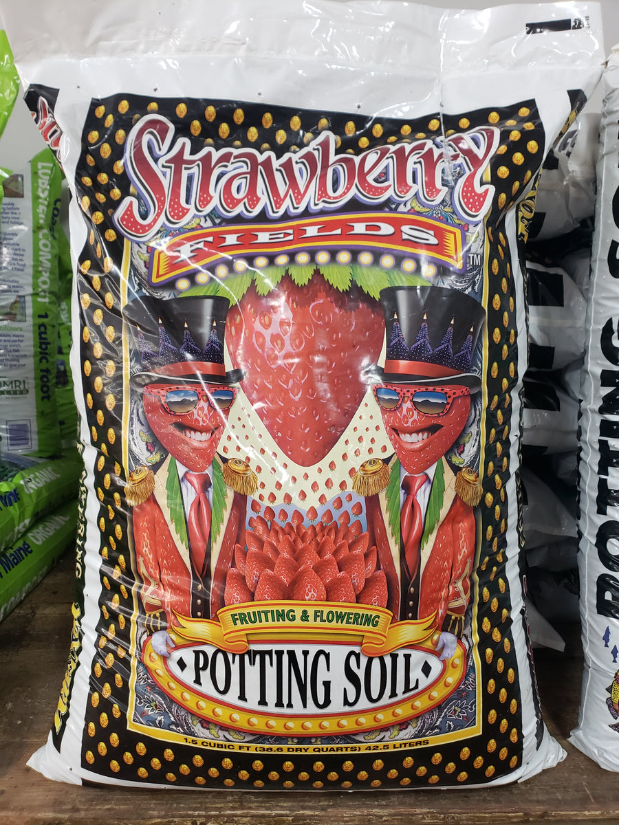 potting mix for strawberry FoxFarm Strawberry Fields Potting Soil – East Coast Hemp Supply Inc