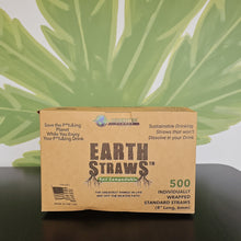 Earth Straws individually wrapped 500 count box