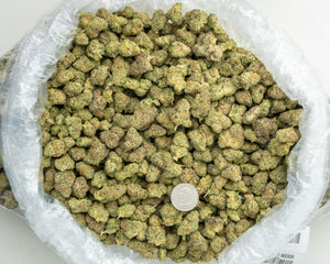 Apple Sherbert THCa Hemp Flower 3.5g