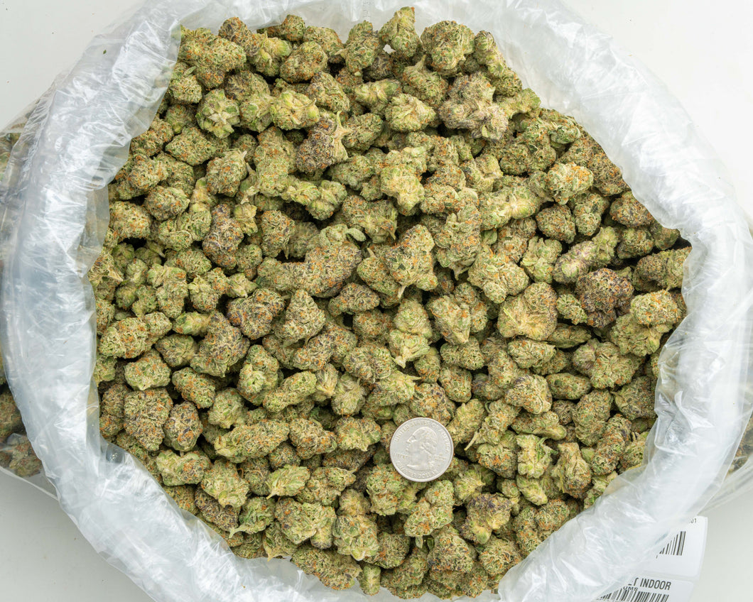 Apple Sherbert THCa Hemp Flower 3.5g