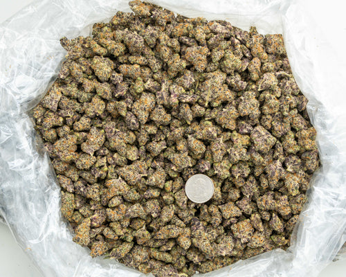 Lemon Slam THCa Hemp Flower 3.5g