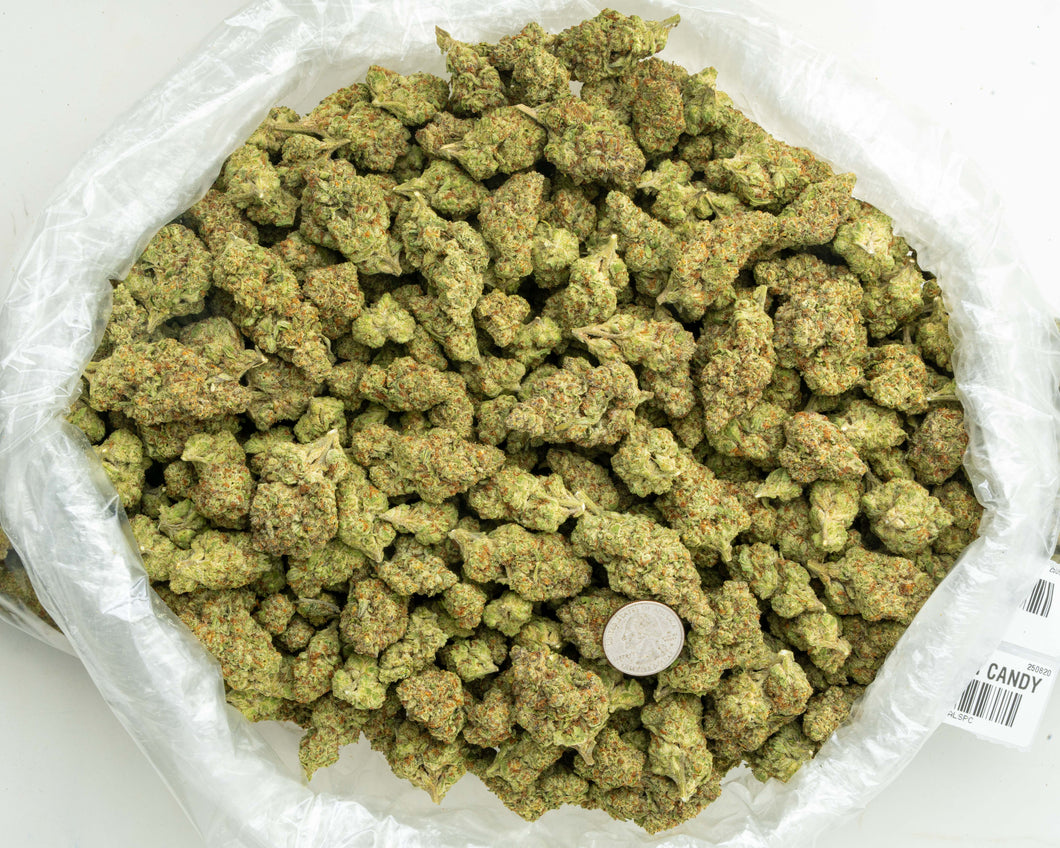 Sour Patch Candy THCa Hemp Flower 3.5g