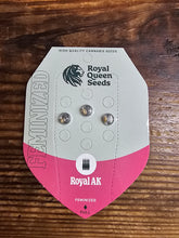 Royal Queen Feminized Seed Pack of 3