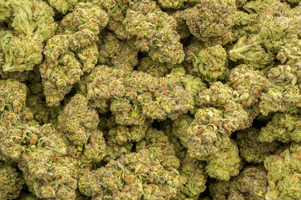 Sour Kush Breath THCa Hemp Flower 3.5g