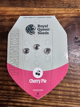Royal Queen Feminized Seed Pack of 3
