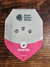 Royal Queen Feminized Seed Pack of 3