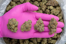 Apple Sherbert THCa Hemp Flower 3.5g