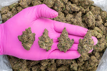 Vice City Runtz Hemp Flower 3.5g