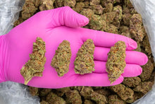 Blueberry Pancakes THCa Hemp Flower 3.5g