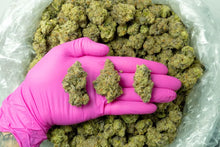 Kali Mist THCa Hemp Flower 3.5g