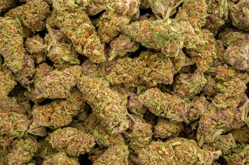 Blueberry Pancakes THCa Hemp Flower 3.5g