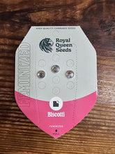 Royal Queen Feminized Seed Pack of 3