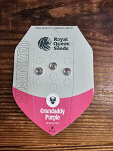 Royal Queen Feminized Seed Pack of 3