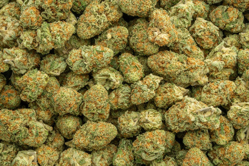 Orange Creamsicle THCa Hemp Flower 3.5g