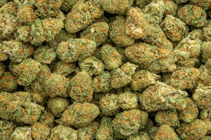 Orange Creamsicle THCa Hemp Flower 3.5g
