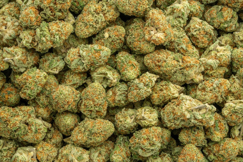 Orange Creamsicle THCa Hemp Flower 3.5g