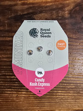 Royal Queen Feminized Seed Pack of 3