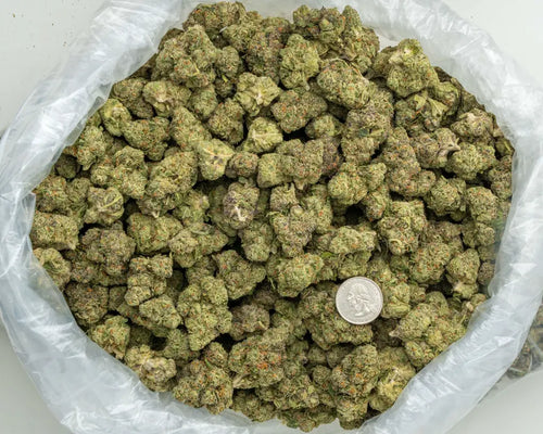 CandyLand THCa Hemp Flower 3.5g