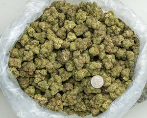 CandyLand THCa Hemp Flower 3.5g
