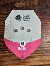 Royal Queen Feminized Seed Pack of 3