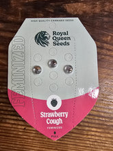 Royal Queen Feminized Seed Pack of 3