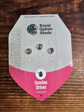 Royal Queen Feminized Seed Pack of 3