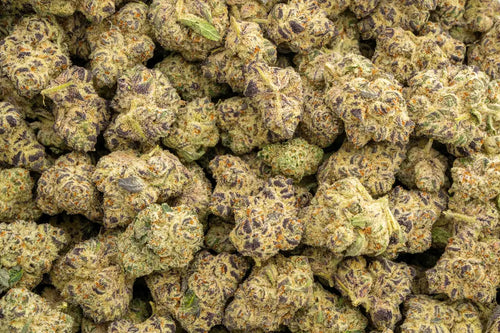 Lilac Diesel THCa Hemp Flower 3.5g