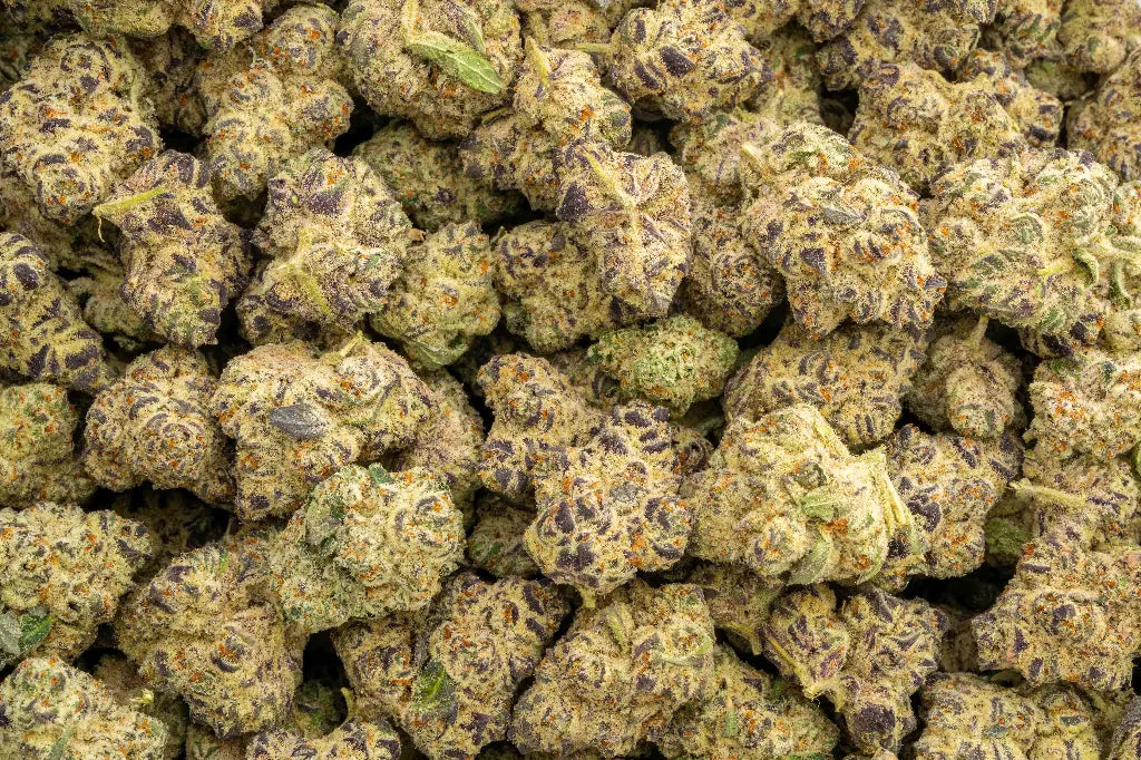 Lilac Diesel THCa Hemp Flower 3.5g