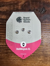 Royal Queen Feminized Seed Pack of 3