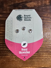 Royal Queen Feminized Seed Pack of 3