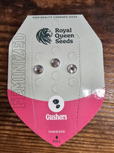 Royal Queen Feminized Seed Pack of 3