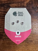 Royal Queen Feminized Seed Pack of 3