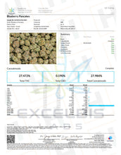 Blueberry Pancakes THCa Hemp Flower 3.5g