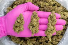 Sour Kush Breath THCa Hemp Flower 3.5g