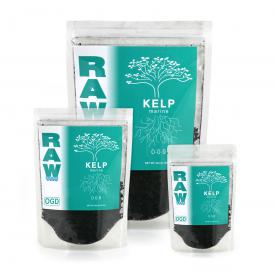 RAW Kelp, 8 oz