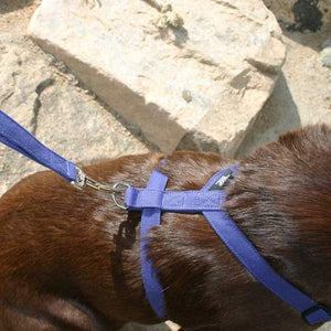 The Good Dog Hemp Harness