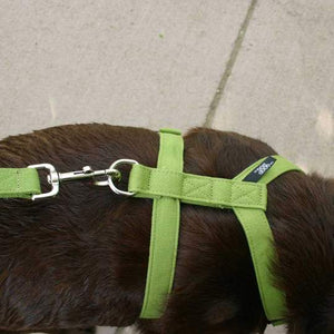 The Good Dog Hemp Harness