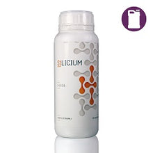 Silicium